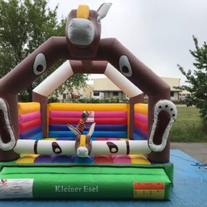 KLEINER ESEL (KAUF) – Bild 2