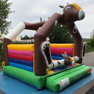KLEINER ESEL (KAUF) – Bild 3