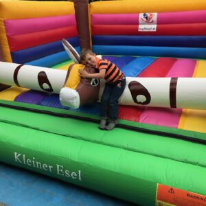 KLEINER ESEL (KAUF) – Bild 6
