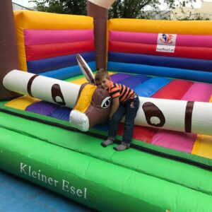 KLEINER ESEL (KAUF) – Bild 7